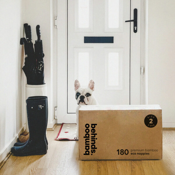 Dog behind a box of nappies | Featured image for the Nappy Subscriptions Page from Bamboo Behinds.
